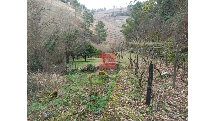 Terreno para Venda em Vila Marim Foto 4