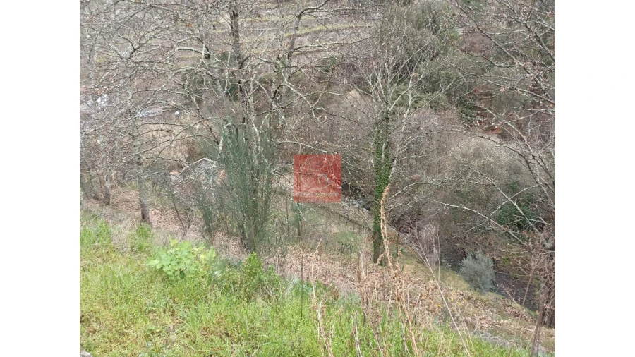 Terreno para Venda em Vila Marim Foto 25