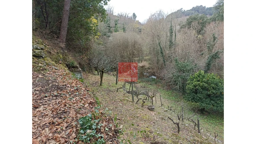 Terreno para Venda em Vila Marim Foto 20