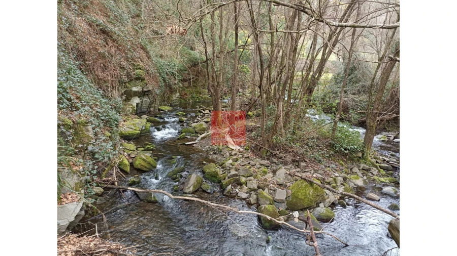 Terreno para Venda em Vila Marim Foto 3