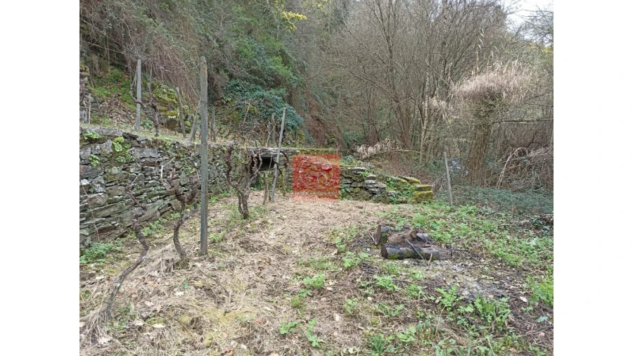 Terreno para Venda em Vila Marim Foto 7