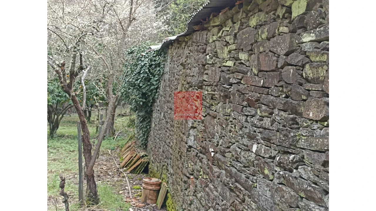 Terreno para Venda em Vila Marim Foto 14