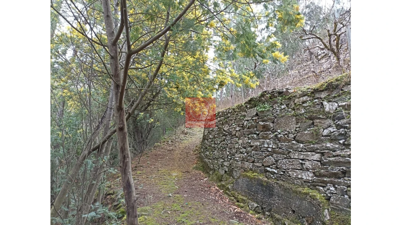Terreno para Venda em Vila Marim Foto 21