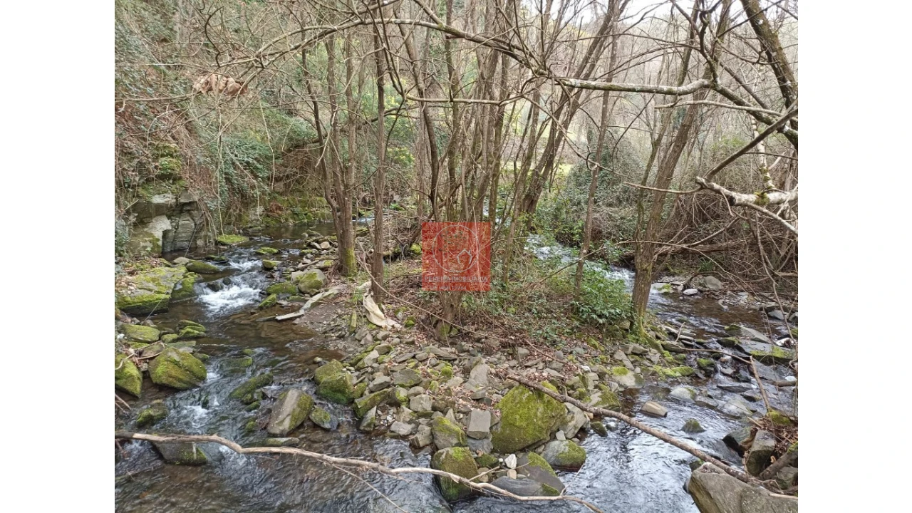 Terreno para Venda em Vila Marim Foto 5