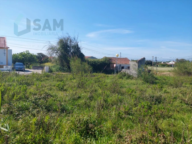 Terreno para Venda em Nossa Senhora do Pópulo, Coto e São Gregório Foto 8