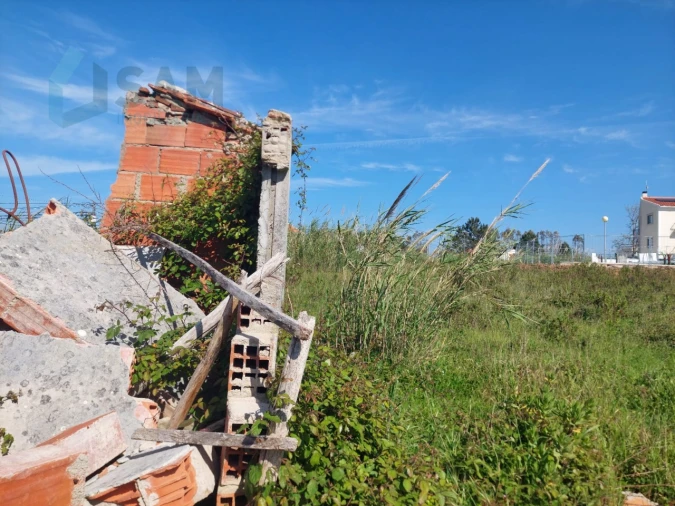 Terreno para Venda em Nossa Senhora do Pópulo, Coto e São Gregório Foto 11