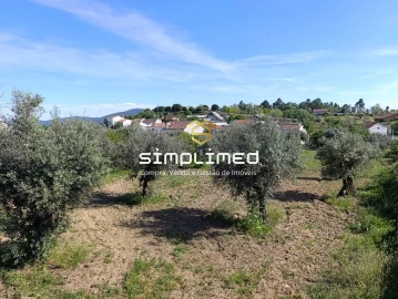 Moradia T4 para Venda em Três Povos