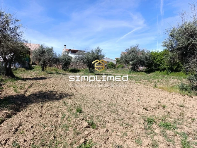 Moradia T4 para Venda em Três Povos Foto 21