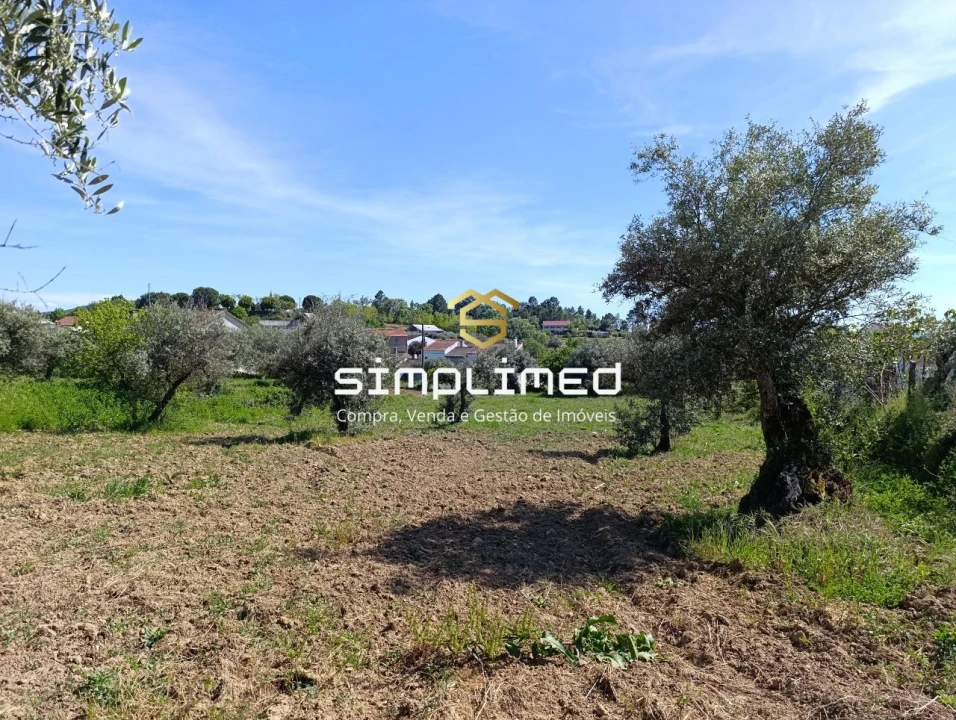 Moradia T4 para Venda em Três Povos Foto 19