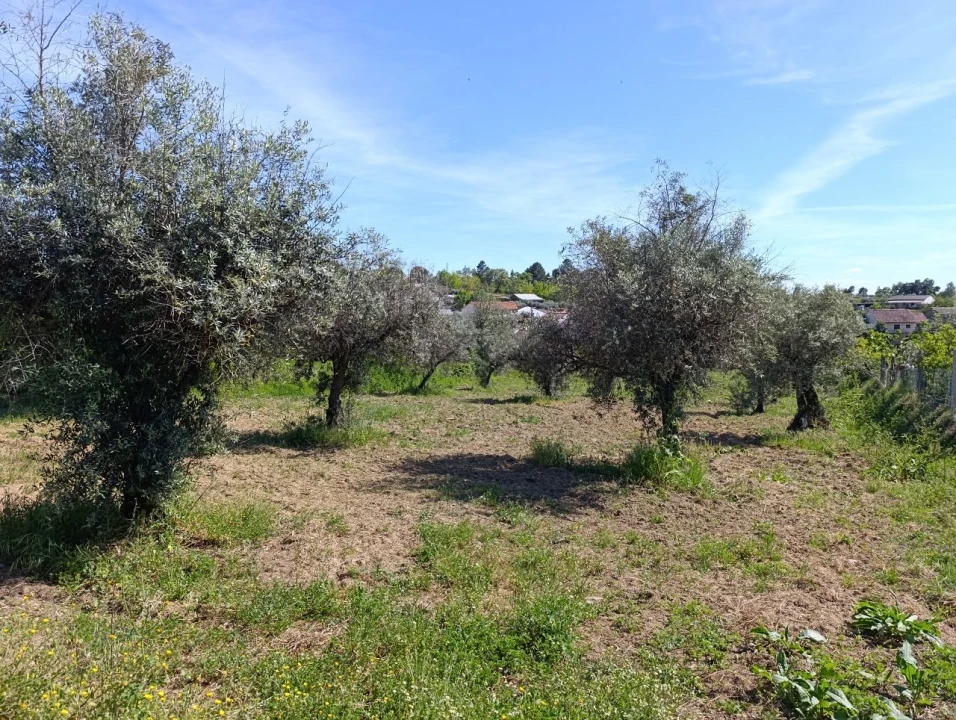 Moradia T4 para Venda em Três Povos Planta 8