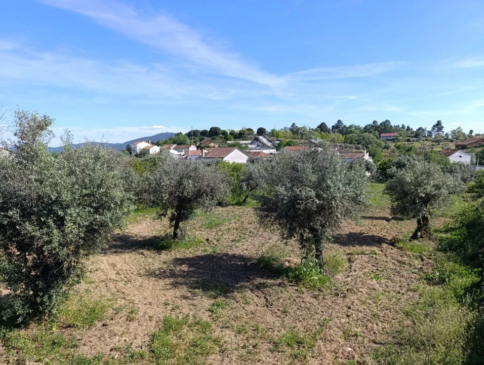 Moradia T4 para Venda em Três Povos Planta 17