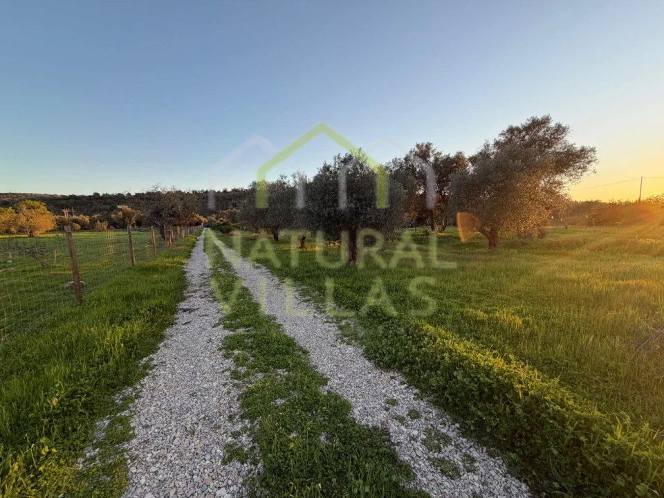 Terreno Agricola ou Rústico para Venda em Paderne Foto 7