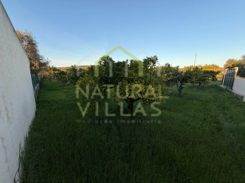 Terreno Agricola ou Rústico para Venda em Paderne Foto 8