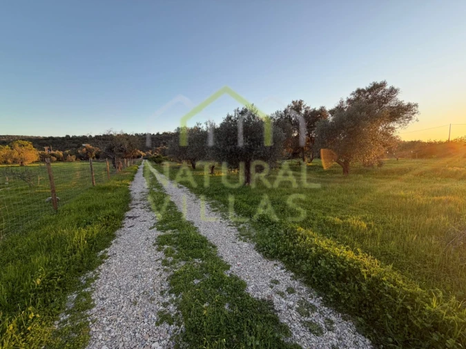 Terreno Agricola ou Rústico para Venda em Paderne Foto 7