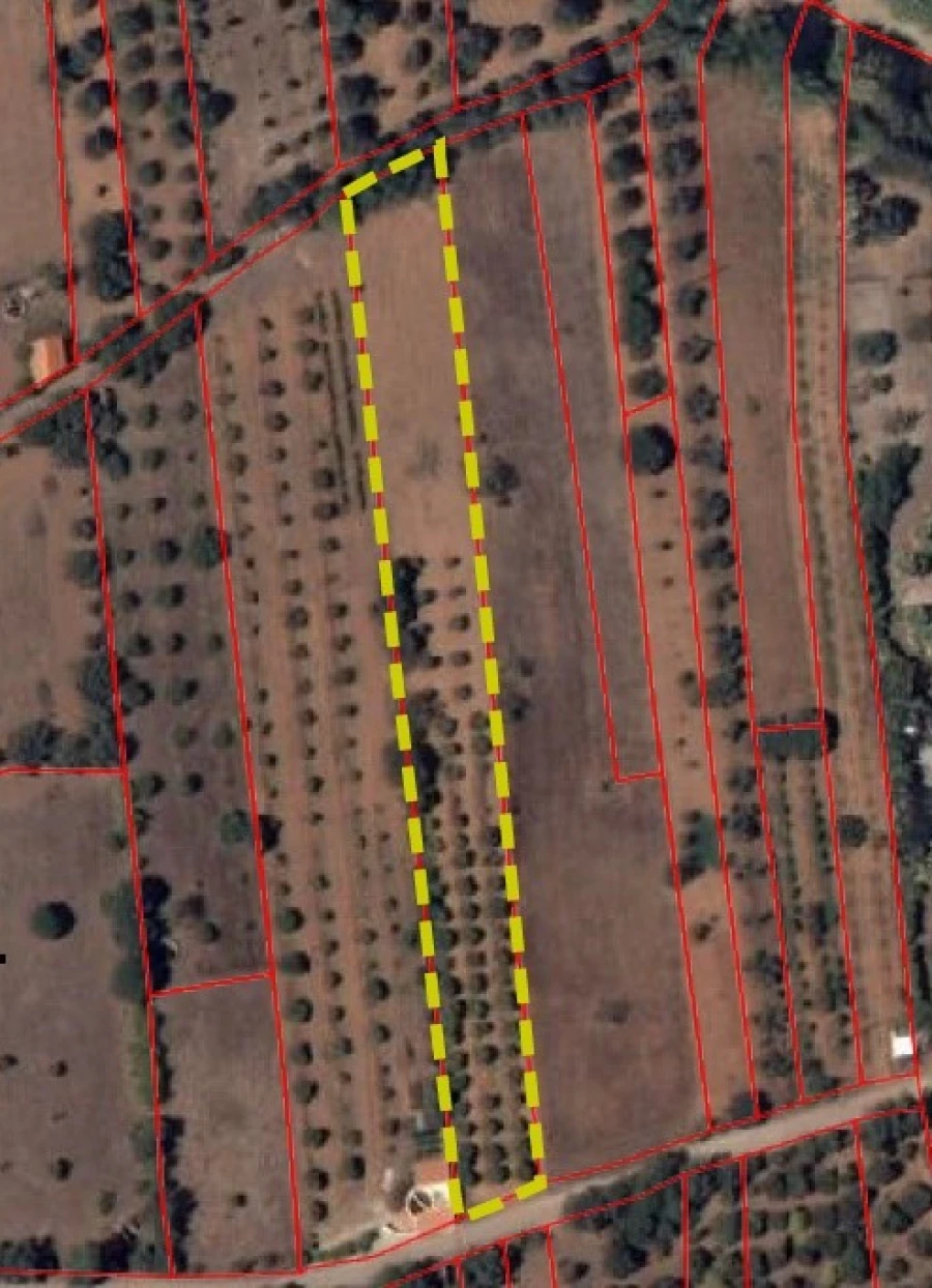 Terreno Agricola ou Rústico para Venda em Paderne Planta 1