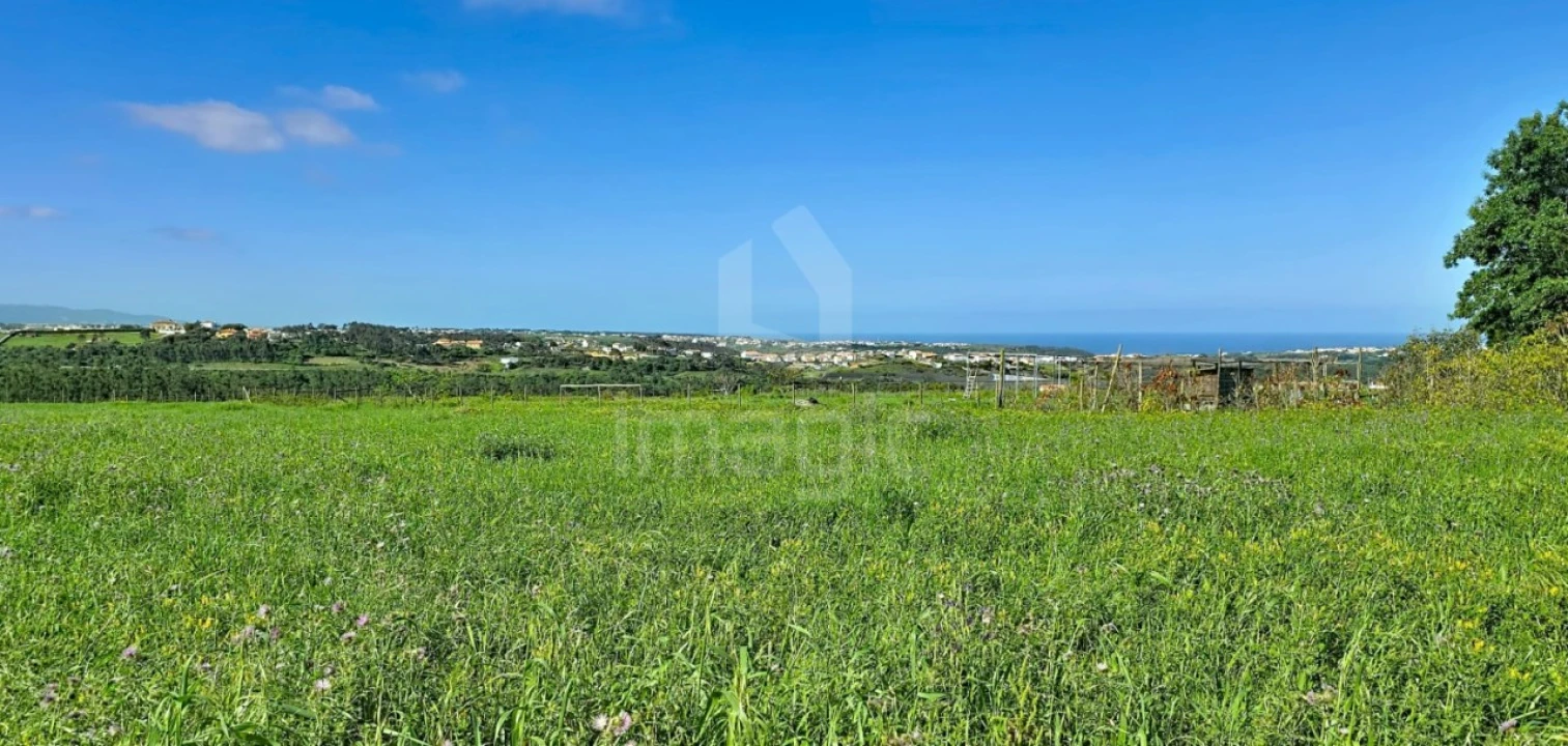Terreno Agricola ou Rústico para Venda em Mafra Foto 5