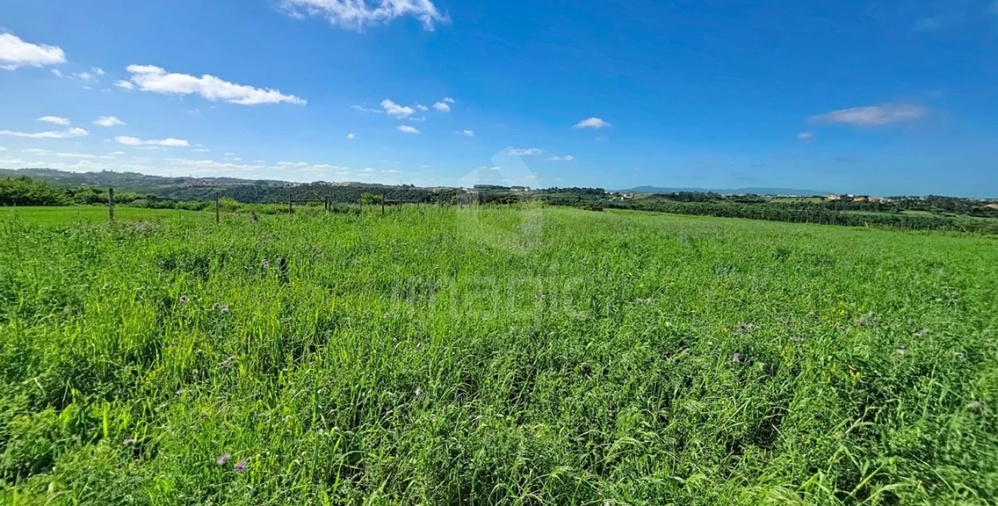Terreno Agricola ou Rústico para Venda em Mafra Foto 7