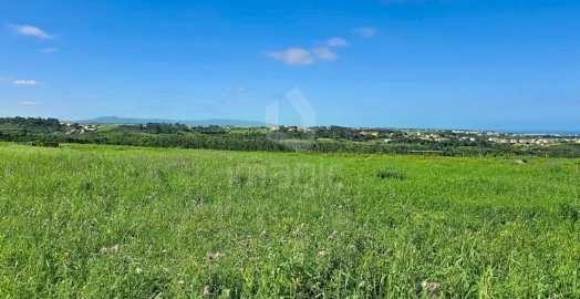 Terreno Agricola ou Rústico para Venda em Mafra