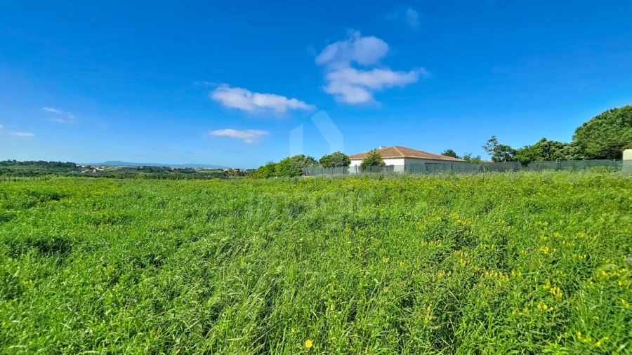 Terreno Agricola ou Rústico para Venda em Mafra Foto 9