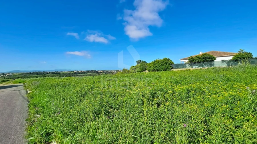 Terreno Agricola ou Rústico para Venda em Mafra Foto 10