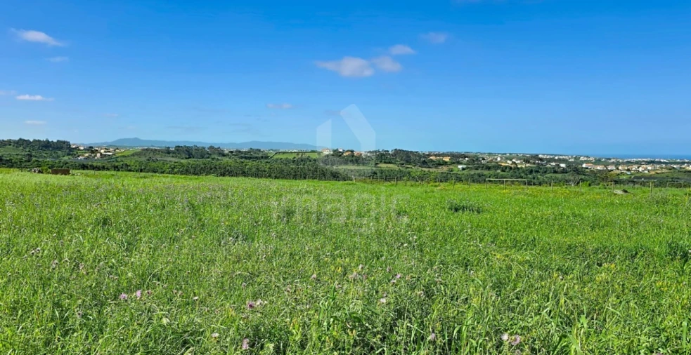 Terreno Agricola ou Rústico para Venda em Mafra Foto 8
