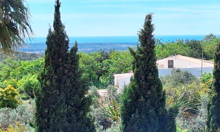 Moradia T4 para Venda em Loule (São Sebastião)