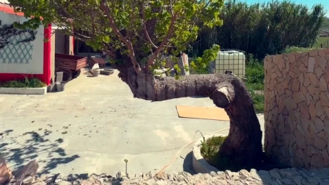 Quinta T3 para Venda em Sesimbra (Castelo)