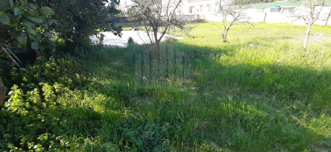 Terreno para Venda em Quinta do Conde Foto 11
