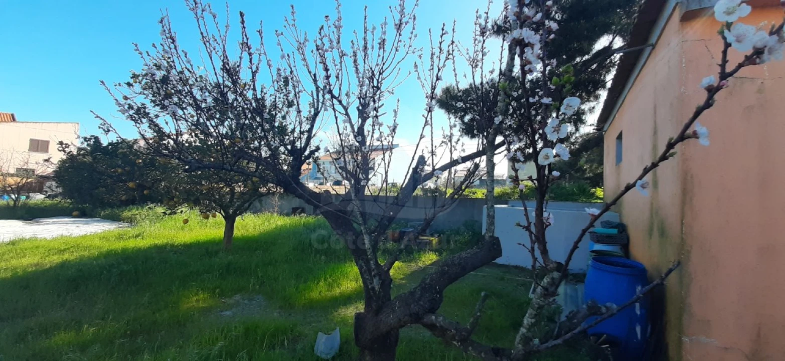 Terreno para Venda em Quinta do Conde Foto 7