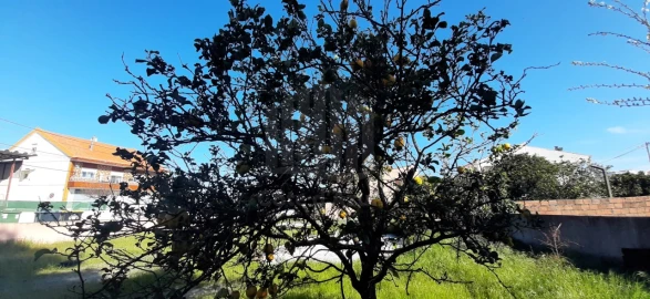 Terreno para Venda em Quinta do Conde