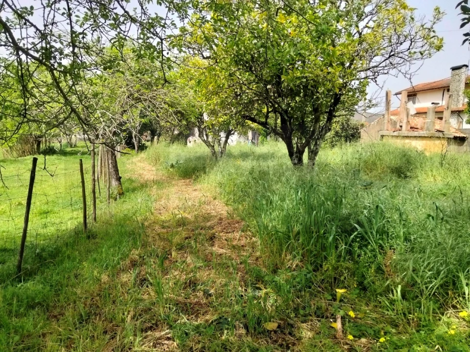 Terreno para Venda em Albergaria-A-Velha e Valmaior Foto 8