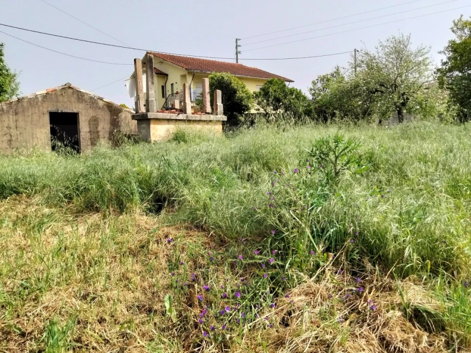 Terreno para Venda em Albergaria-A-Velha e Valmaior Foto 12