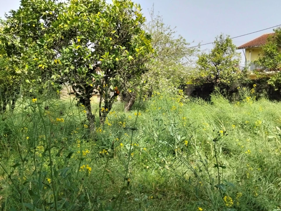 Terreno para Venda em Albergaria-A-Velha e Valmaior Foto 15