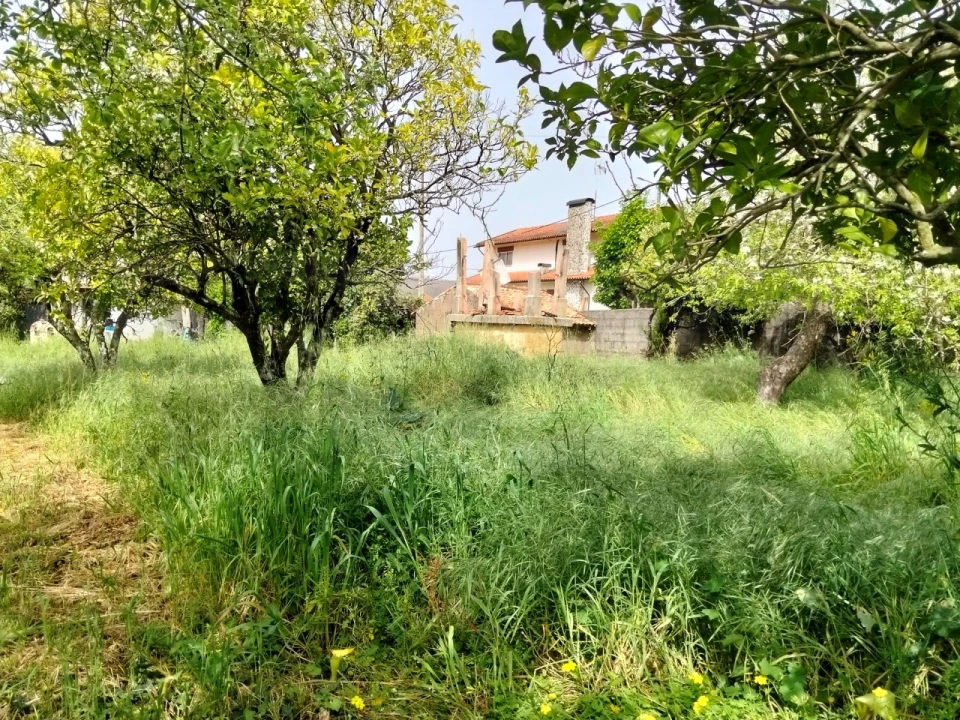 Terreno para Venda em Albergaria-A-Velha e Valmaior Foto 18