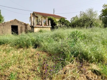 Terreno para Venda em Albergaria-A-Velha e Valmaior