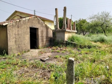 Terreno para Venda em Albergaria-A-Velha e Valmaior