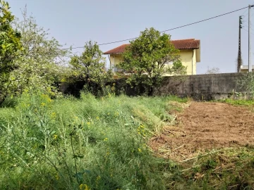 Terreno para Venda em Albergaria-A-Velha e Valmaior