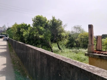 Terreno para Venda em Albergaria-A-Velha e Valmaior