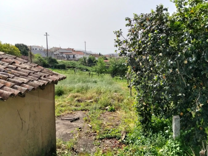 Terreno para Venda em Albergaria-A-Velha e Valmaior Foto 2