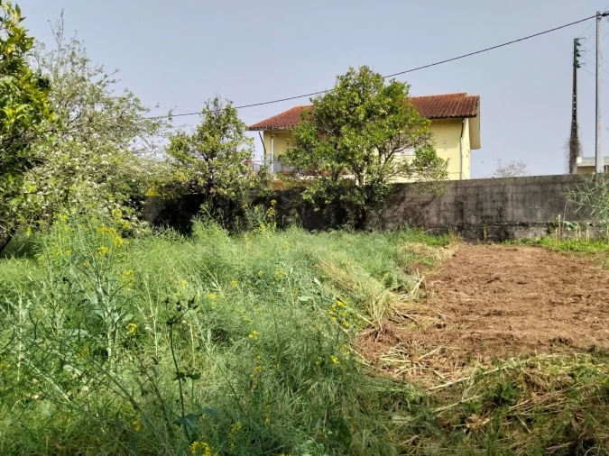 Terreno para Venda em Albergaria-A-Velha e Valmaior Foto 5