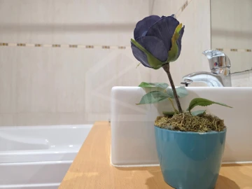 Moradia T4 para Venda em O. Azeméis, Riba-Ul, Ul, Macinhata Seixa, Madail