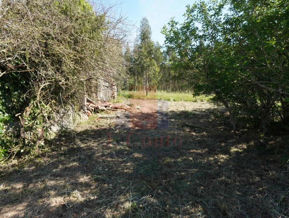 Moradia para Venda em A dos Negros Foto 28