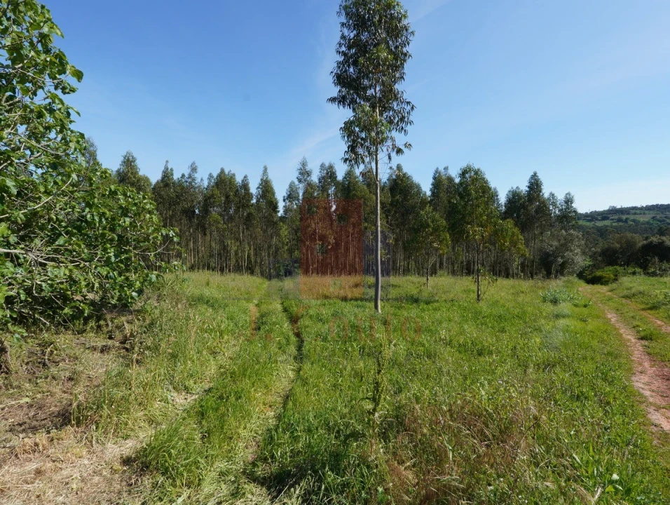 Moradia para Venda em A dos Negros Foto 32