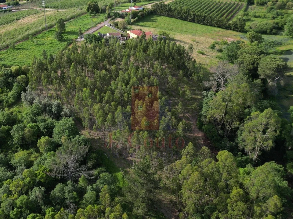 Moradia para Venda em A dos Negros Foto 33