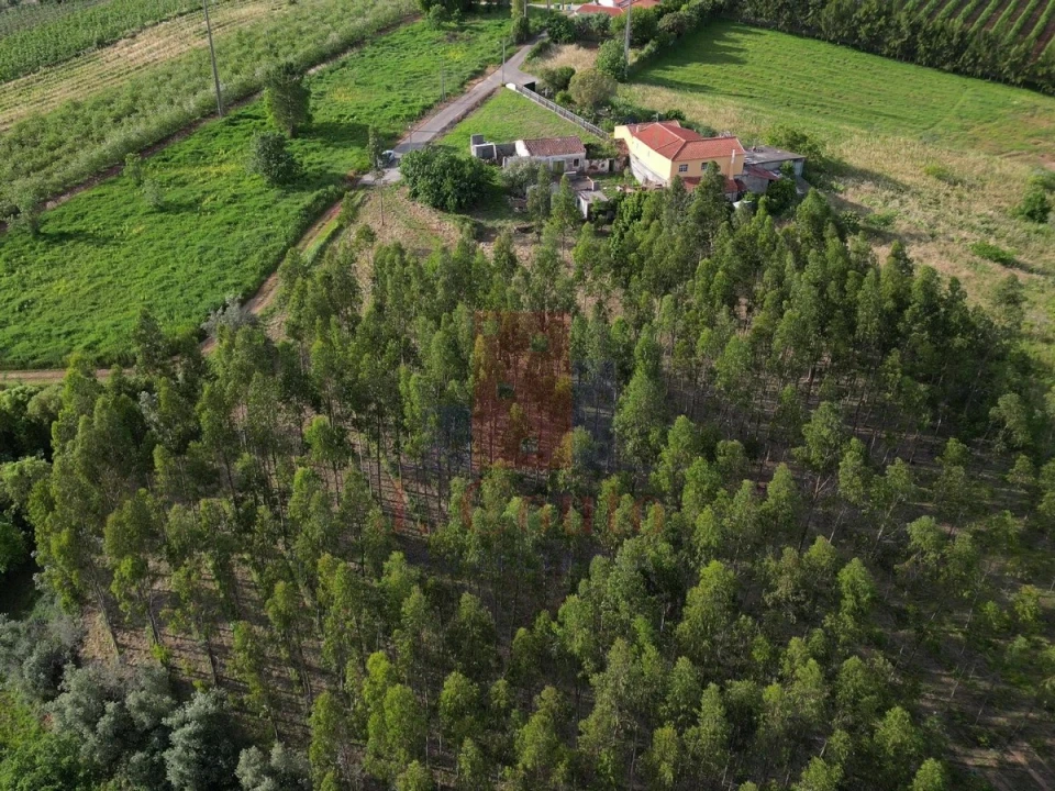 Moradia para Venda em A dos Negros Foto 34
