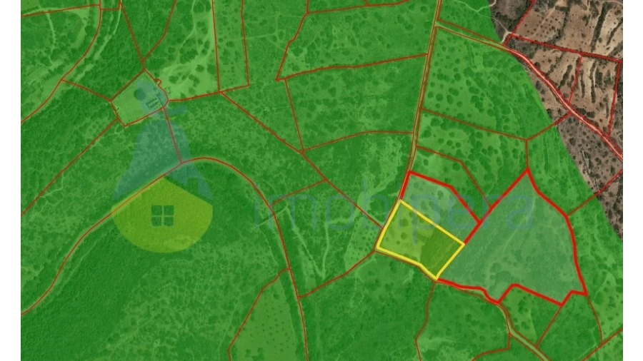 Terreno Agricola ou Rústico para Venda em Paderne