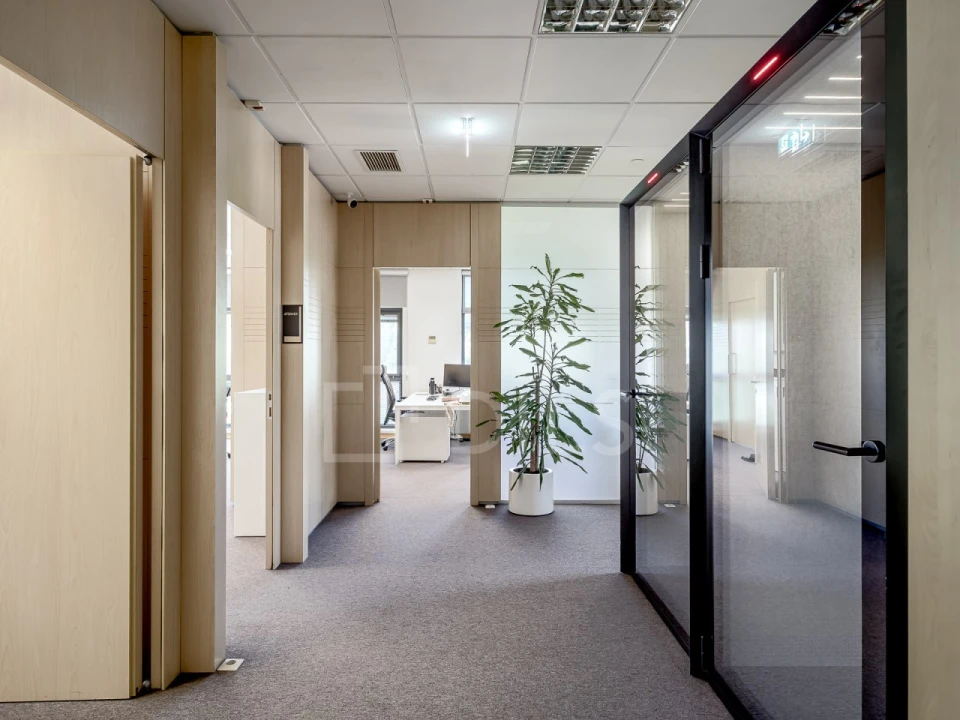 Escritório para Arrendamento em Santo António Foto 6