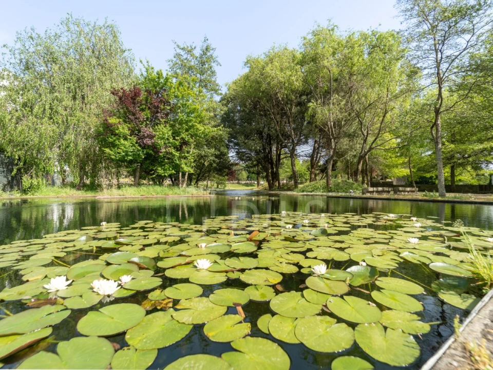 Apartamento T1 para Venda em São Mamede de Infesta e Senhora da Hora Foto 10