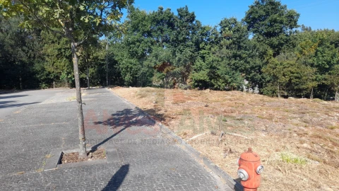 Terreno para Venda em Folgosa