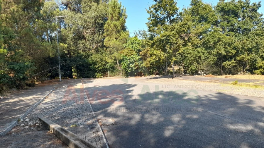 Terreno para Venda em Folgosa Foto 2